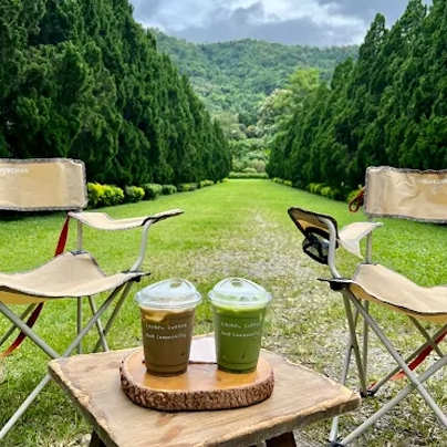 热门打卡地 Cypress Lanes 的照片，人们在这里的树列前拍照