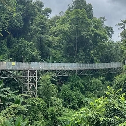 诗丽吉王后植物园的空中步道，骑行沙孟环路的人可以停下来欣赏大自然