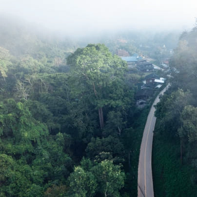 一名男子在清迈骑着租来的摩托车，准备挑战沙孟环路